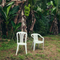 Bad Bunny & RaiNao - PERFuMITO NUEVO