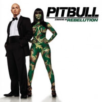 Pitbull - Hotel Room Service