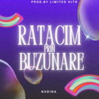 LIMITED HITS, Nadina - Ratacim prin buzunare